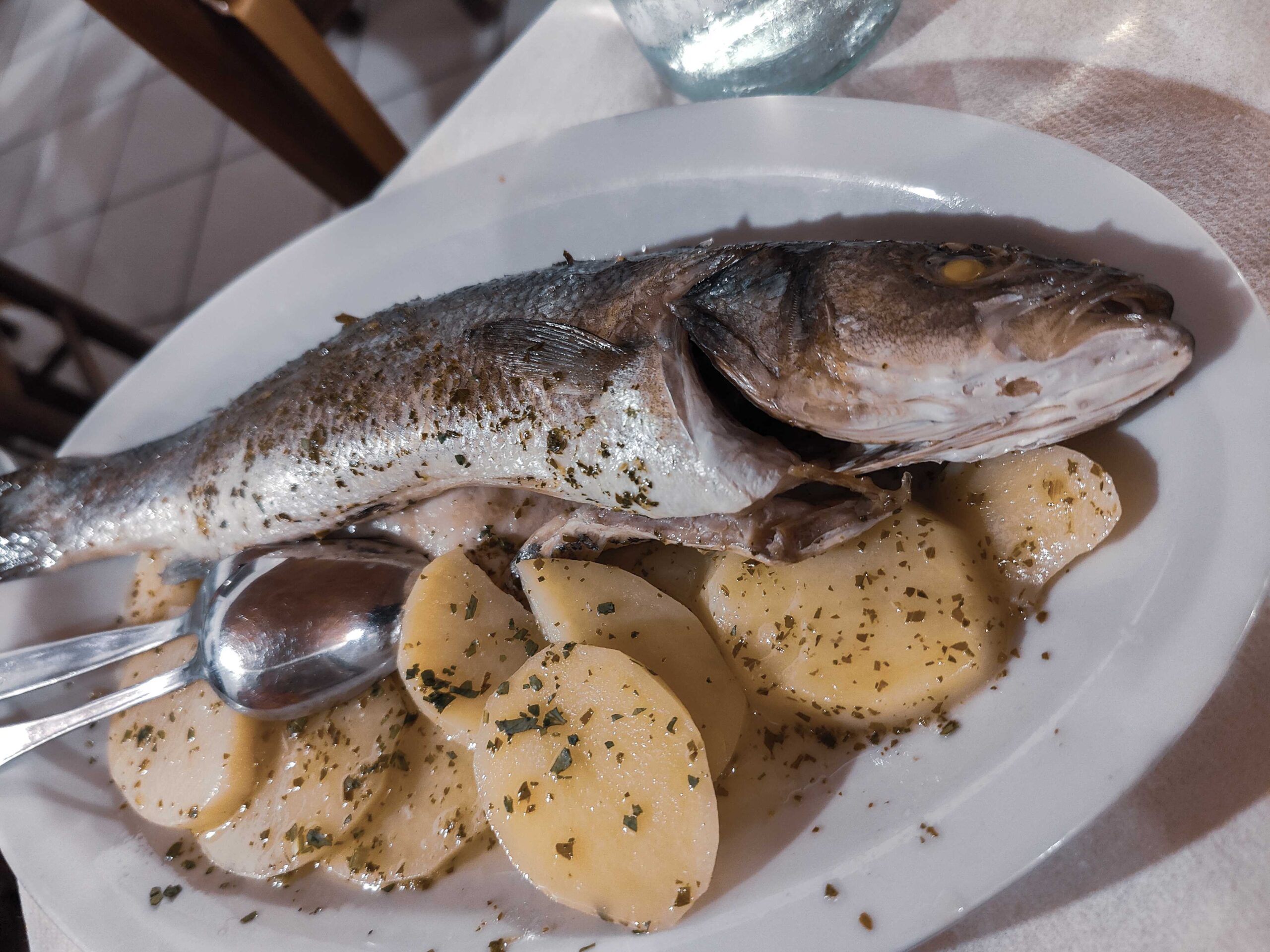 Ein Teller mit einer frischen Dorade als Teil eines sardischen Fischmenüs im Mabrouk in Alghero
