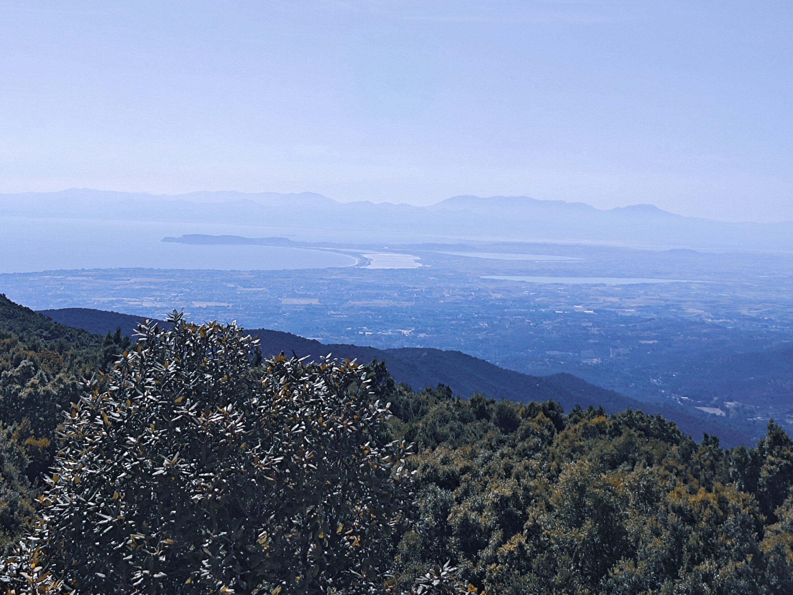 Aussicht Sardinien vom Monte Cresia mit Blick in die Ferne wo das Meer ist