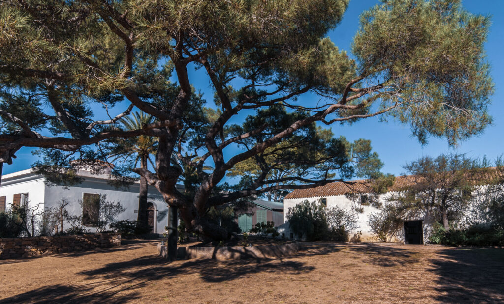 Blick auf das Haus des Garibaldi Museums mit einem großen Baum auf Caprera im La Maddalena Archipel