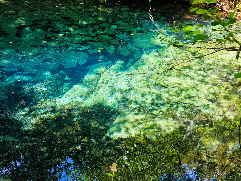 Glasklarer Naturpool auf Sardinien mit türkisblauem Wasser, Felsen und Spiegelungen der Natur
