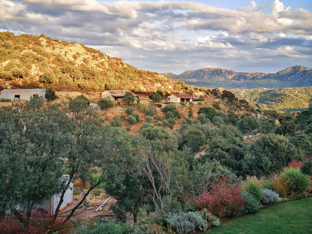 Sardinische Landschaft im Landesinneren mit Hügeln, Macchia und warmem Abendlicht