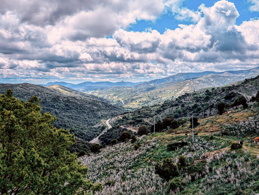 Berglandschaft im Landesinneren Sardiniens mit kurviger Straße zwischen grünen Hügeln und Bergen