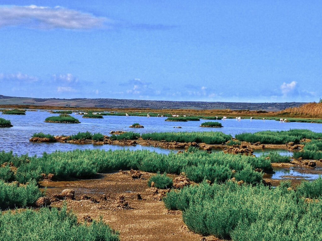 Lagunenlandschaft an der Westküste Sardiniens